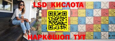индика Камышлов