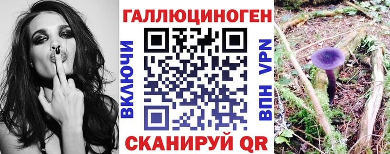 Галлюциногенные грибы мухоморы Курчалой