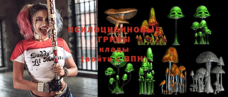 Галлюциногенные грибы MAGIC MUSHROOMS Курчалой