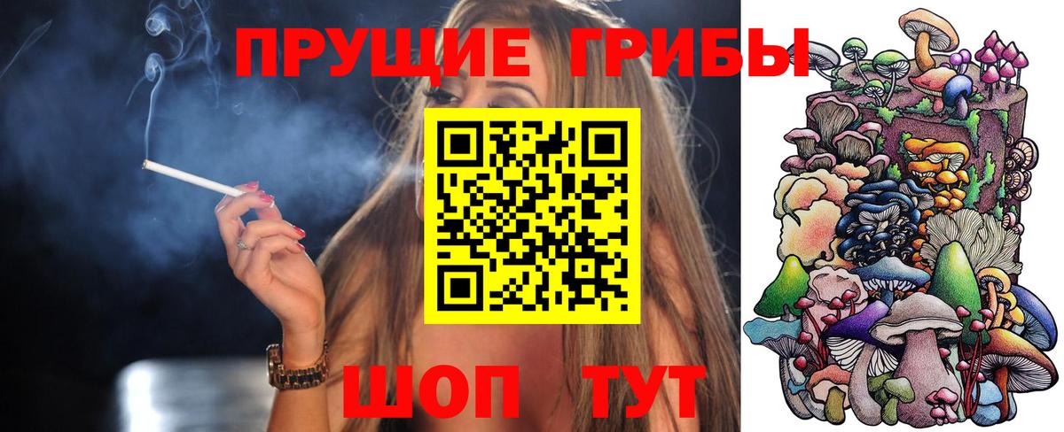 Курчалой  Псилоцибиновые грибы мухоморы  Вход с VPN 