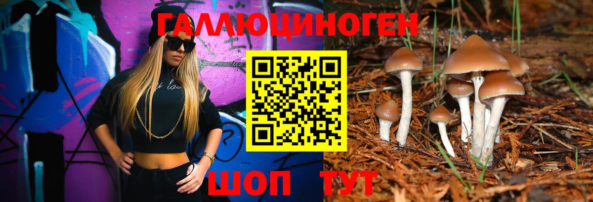 Галлюциногенные грибы GOLDEN TEACHER Курчалой