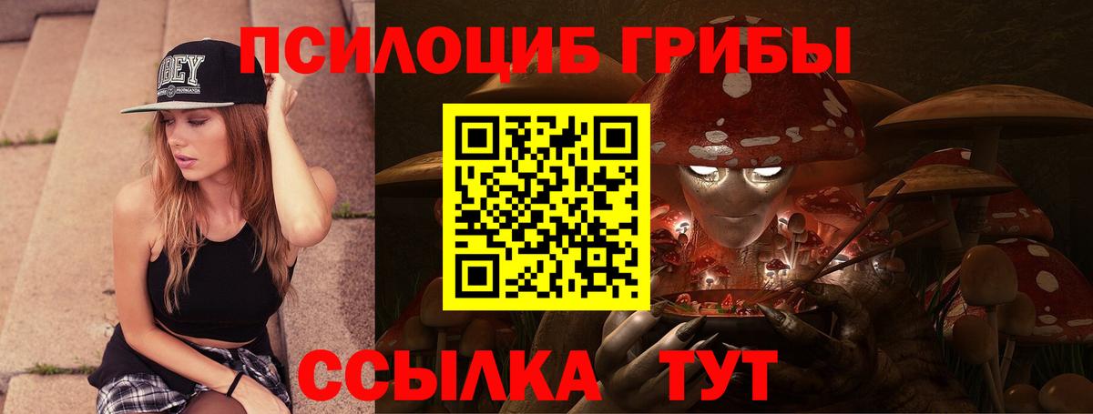 Галлюциногенные грибы мухоморы  Курчалой 